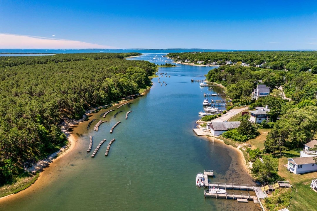 Cape Cod Oyster Company